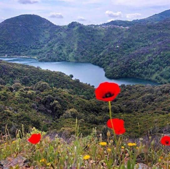 Valle d'Alesani La Source 8 Ou 6 Couchages 빌라 외부 사진
