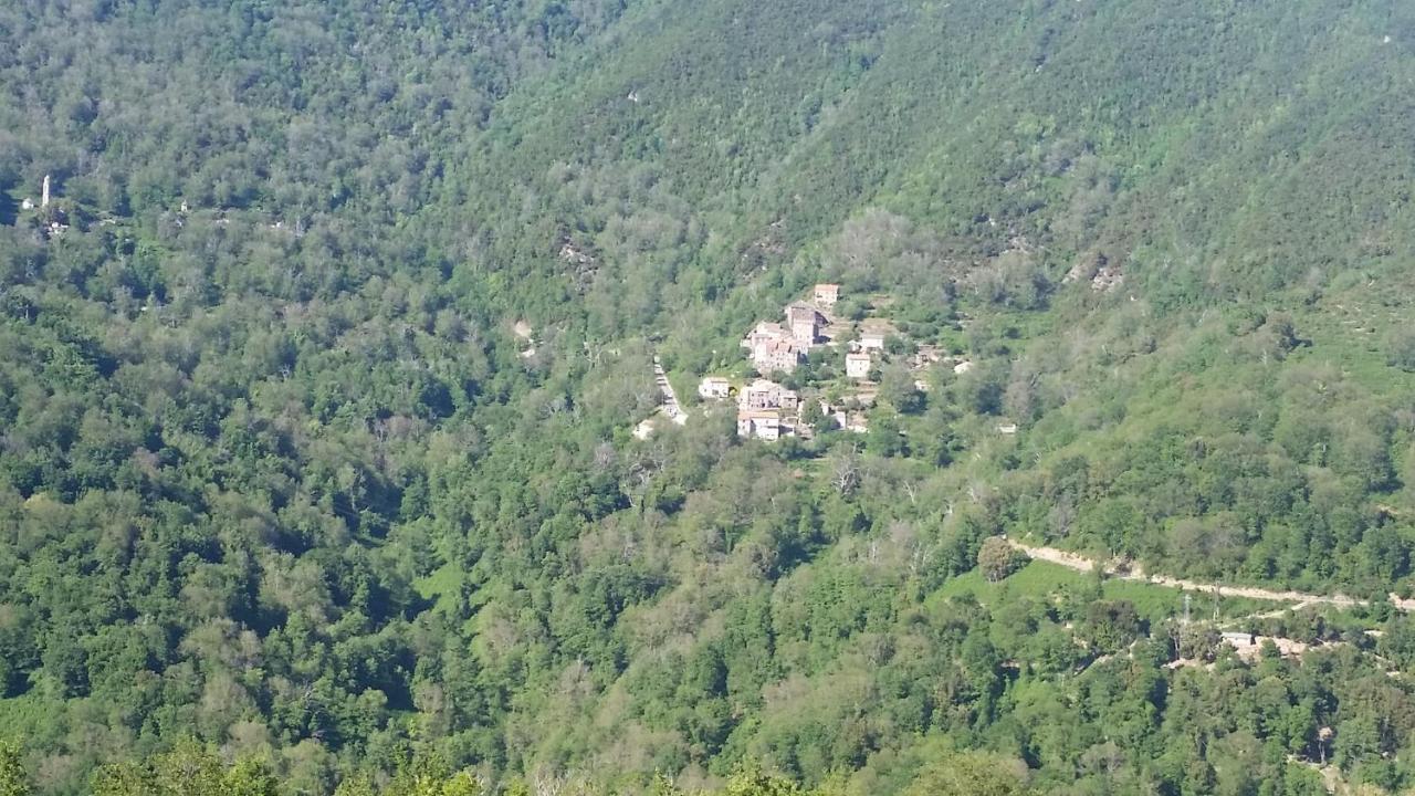 Valle d'Alesani La Source 8 Ou 6 Couchages 빌라 외부 사진